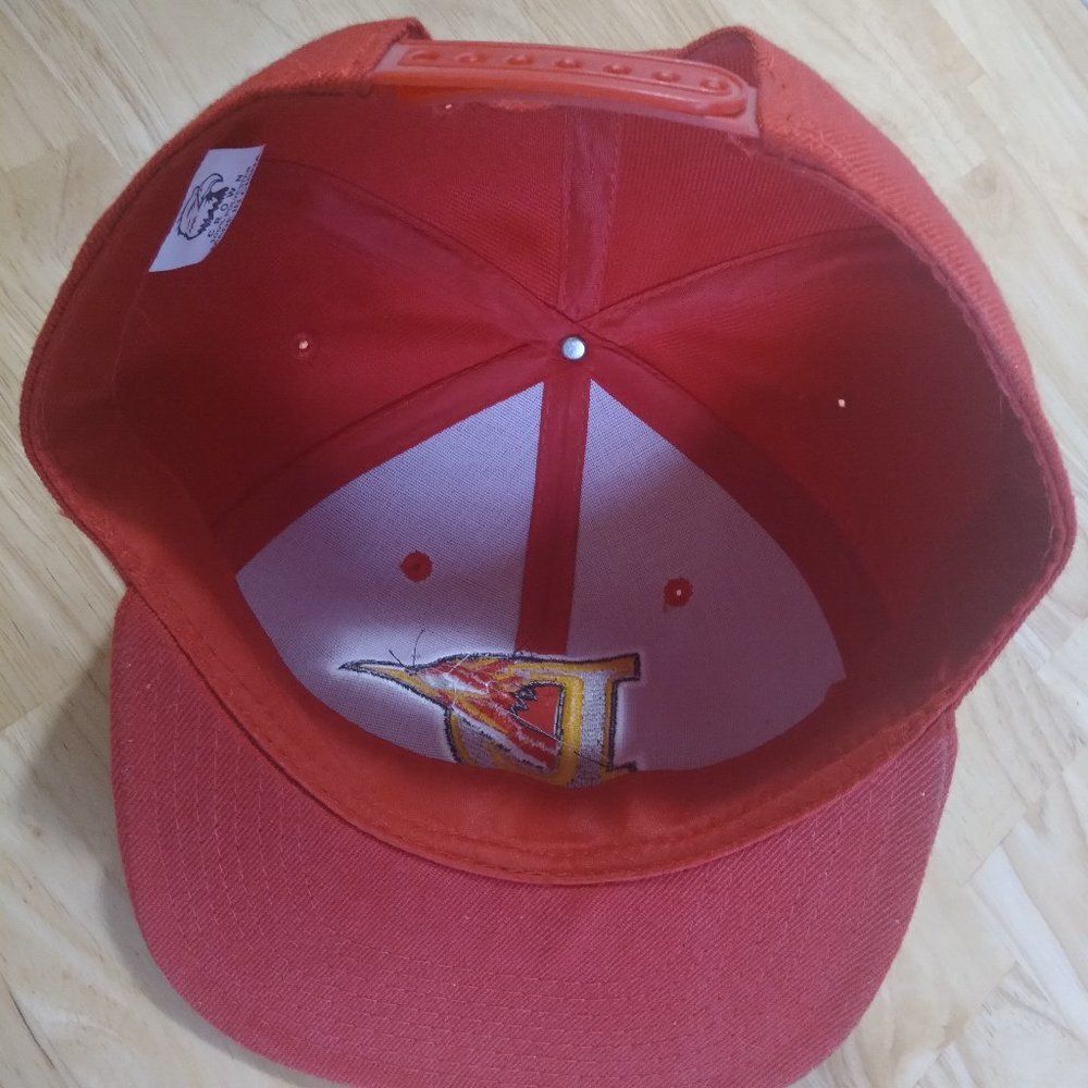 Vintage Delmarva Shorebirds Minor League Hat - Picture 6 of 7